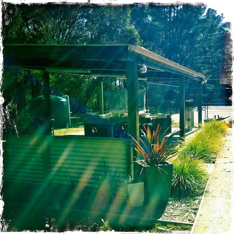 Twin Falls Bush Cottages Fitzroy Falls Habitación foto