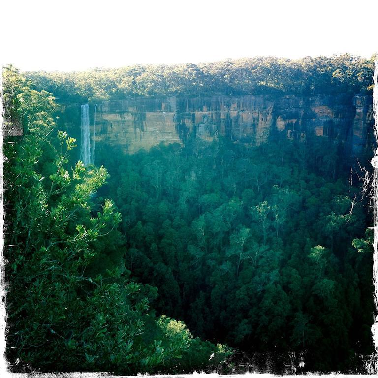Twin Falls Bush Cottages Fitzroy Falls Habitación foto