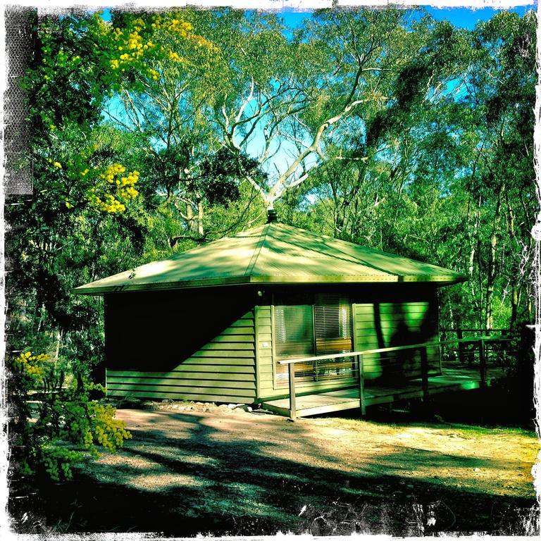 Twin Falls Bush Cottages Fitzroy Falls Habitación foto