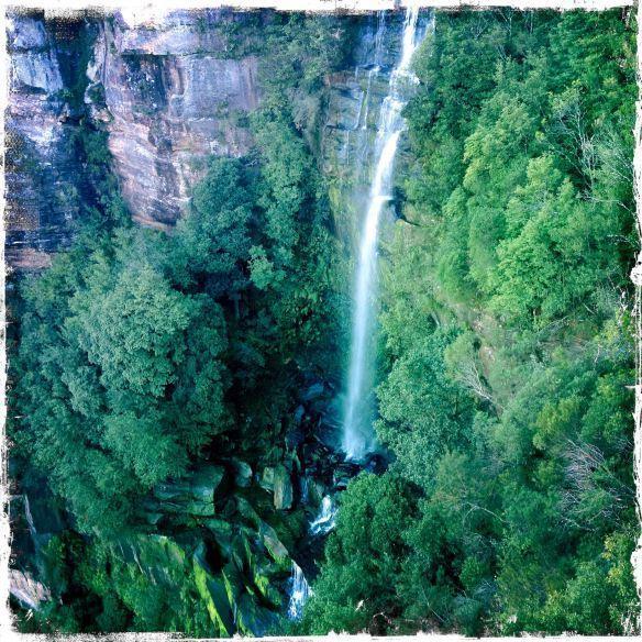 Twin Falls Bush Cottages Fitzroy Falls Habitación foto
