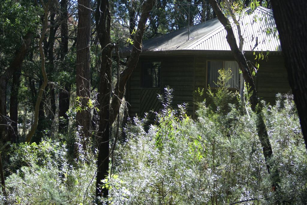 Twin Falls Bush Cottages Fitzroy Falls Exterior foto